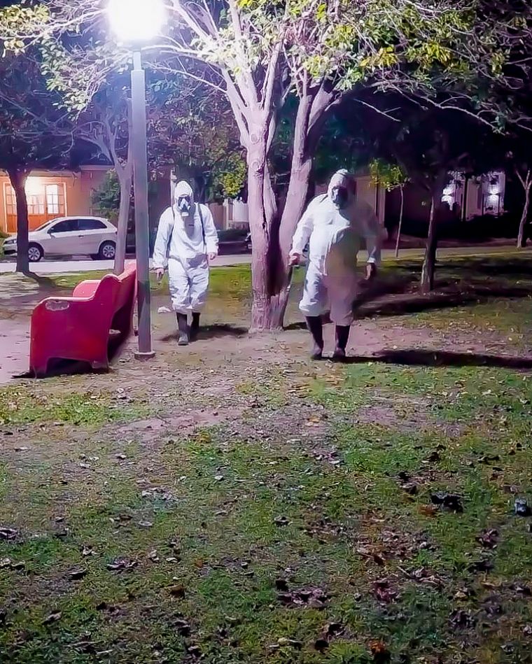 Trabajos de Fumigación en la Ciudad